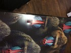 Foto 3 di 5