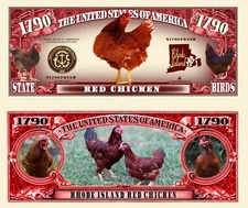 OUR RHODE ISLAND RED CHICKEN NOVELTY NOTES (25 EA)