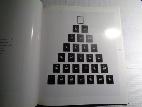 FLEGREE PAROLE DI IVOS MARGONI IMMAGINI DI PAOLO GUIOTTO - Imagen 3 de 3
