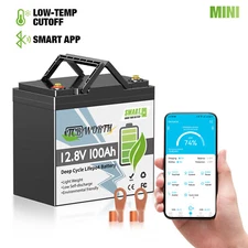 12V 100Ah Mini LiFePO4 Battery Lithium Iron Phosphate for RV Marine Solar System