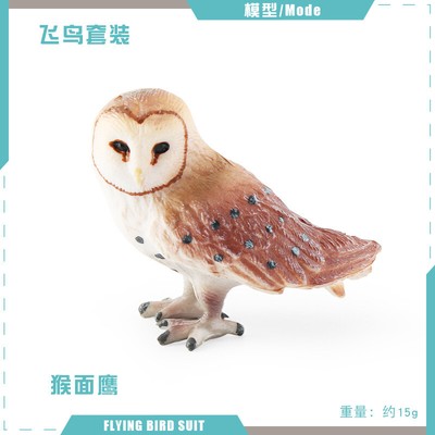 Simulation wildlife raptor birds ceagle Miniature Art Toy Figure Doll  #
