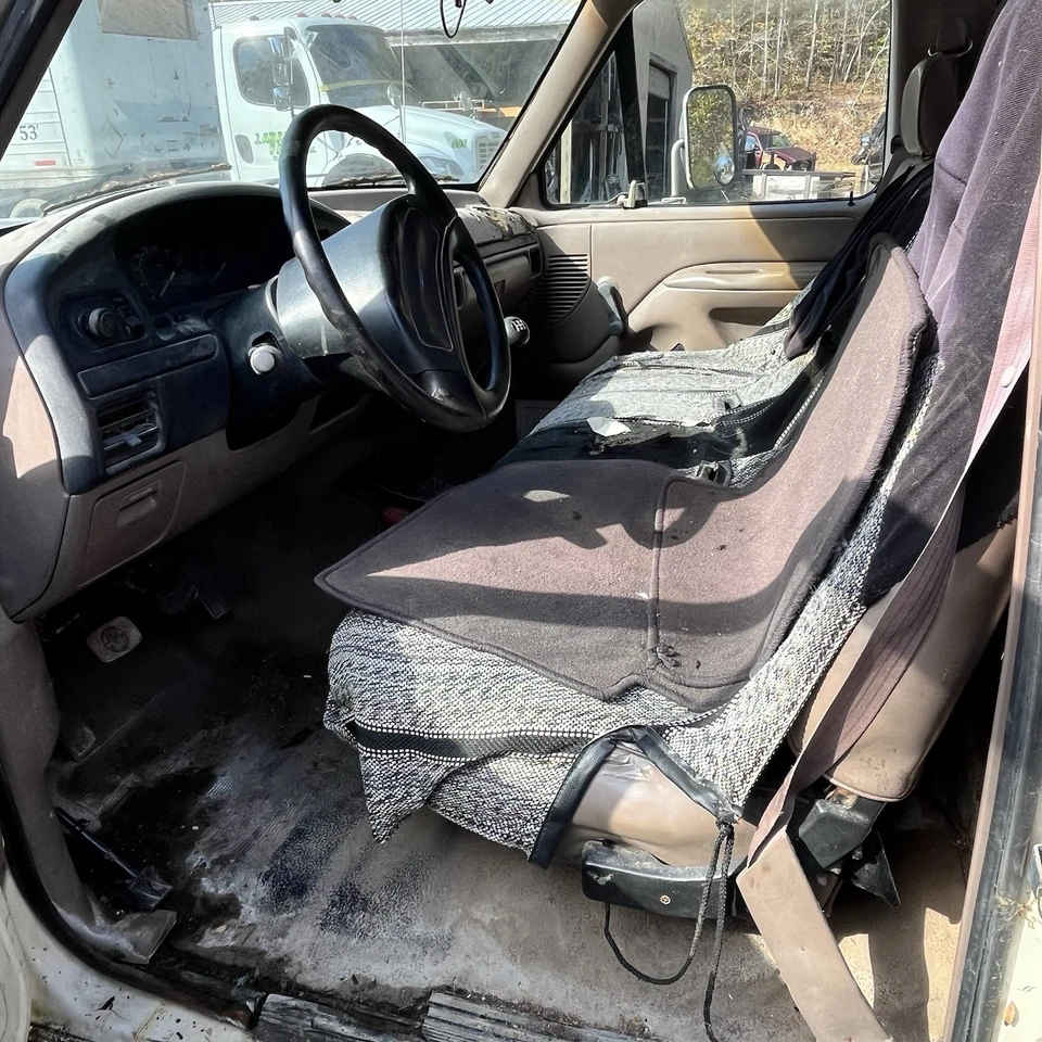 Ford F150 F250 F350 F-Super Duty 1992-95 cabina regular conductor delantero cinturón de seguridad marrón Foto 4 de 4