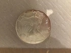 2004 WALKING LIBERTY AMERICAN EAGLE .999 FINE SILVER DOLLAR COIN 1oz. TONING