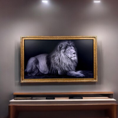 32'' to 75'' inch Ornate frame for Samsung The Frame TV, Marble Gold finish