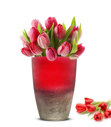 2X Florero Oxi 2.Wahl de Mesa Jarrón Cristal Decorativo Búcaro Maceta - Imagen 9 de 14