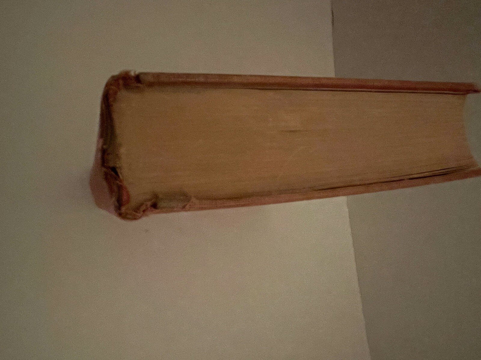 Picture 7 of 17