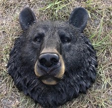 stampo in lattice fibra di vetro. Testa di orso larga 8 pollici in calcestruzzo o gesso
