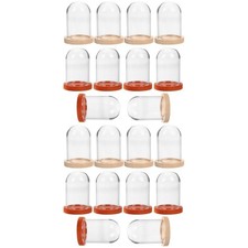 2 Count Bell Jar Display Dome Eternal Flower Cover Cloche with Base