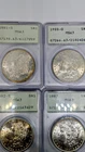 Lot of 4 PCGS MS 63 Morgan Silver Dollars OGH Uncirculated Rattler Holders