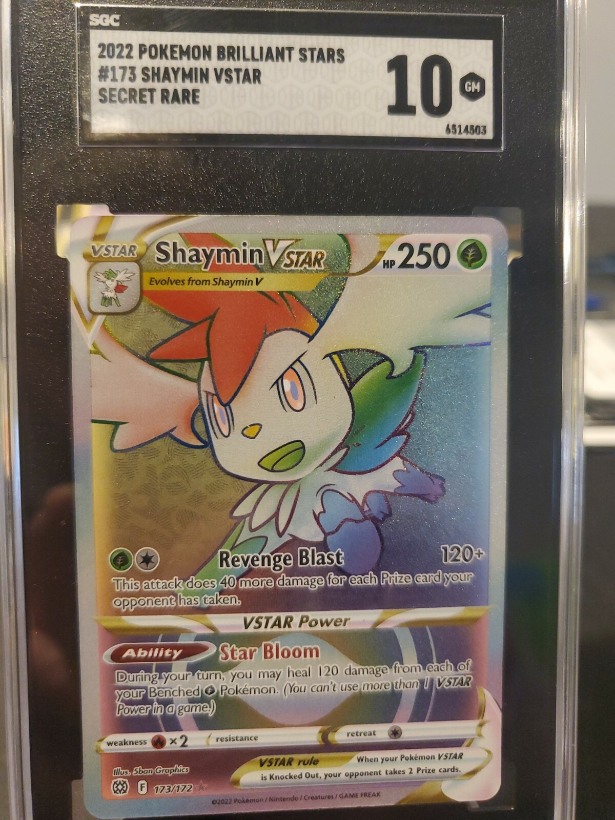 Shaymin Vstar 173/172 Brilliant Stars Rainbow Pokemon TCG Graded 10 GM