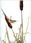 Foto 3 di 3