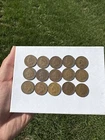 Lot of 15 Indian Head United States Coin Cent Penny - (Lot #2)