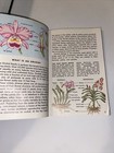 Foto 10 di 10