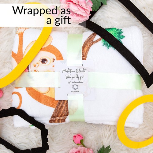 Baby Monthly Milestone Blanket | for Boy or Girl Unisex | Month Blanket Baby - Picture 3 of 7