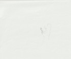 The Twelve Kingdoms Juuni Kokki Genga Douga Original Sketches Pierrot - Youko — photo 7