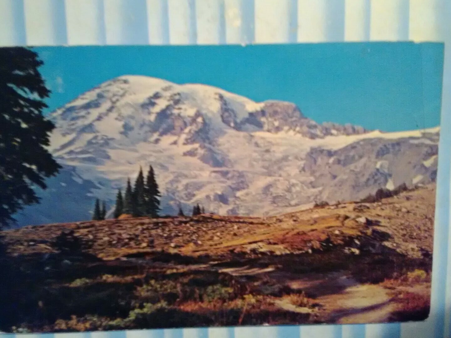 Picture 10 of 12