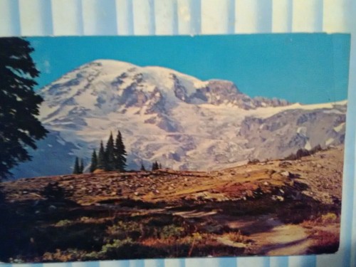 VINTAGE POST CARD MOUNT RAINIER NATIONAL PARK WASHINGTON PACIFIC NORTHWEST - Picture 10 of 12