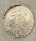 American BU Silver Eagle Coin 2005 Light Tone  1oz. Fine Silver