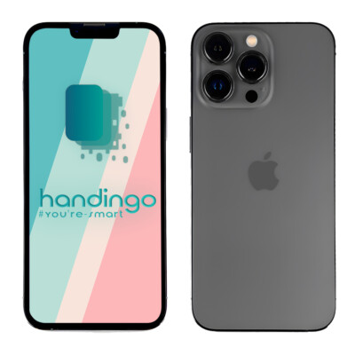Apple iPhone 13 Pro Max Graphit 128 GB Sehr Gut Gebraucht (Ohne Simlock) 