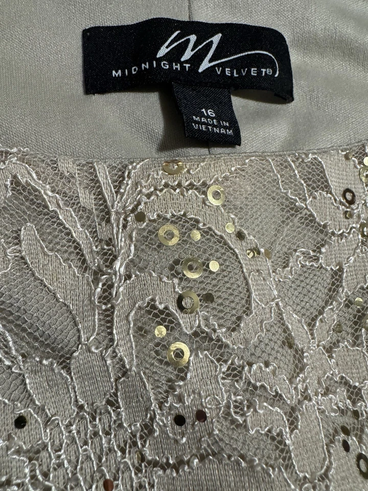 Midnight Velvet Lace Sequin Fit And Flare Dress Taupe Size 16 - Image 4 of 4