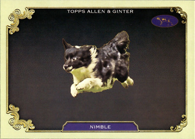Nimble - Stars Of The Show SOS-34 - TOPPS Allen & Ginter 2024