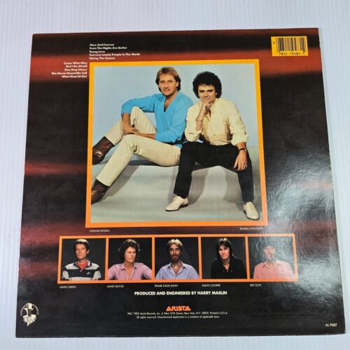 Air Supply NOW AND FOREVER Vinyl LP Album Arista Records 1982 Vintage - Imagen 2 de 9