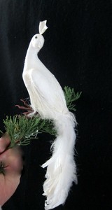White Peacock Bird Figurine Hand Made With Real Feathers Ebay White Peacock Bird Figurine Hand Made With Real Feathers Ebay
