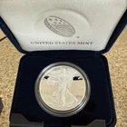 Proof 2020-W American Silver Eagle 1 oz .999 Silver Dollar With Box and COA (01)