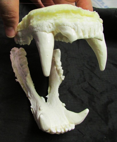 Huge reproduction black beast sculpture art teeth jaws cast REPLICA - Picture 2 of 4