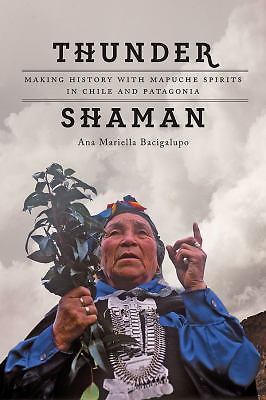 Donnerschamane: Geschichte schreiben mit Mapuche-Geistern in Chile und Patagonien - Bild 1 von 1