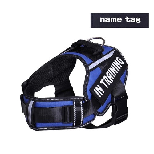 Personalised No-Pull Padded Dog Harness Small Medium Dogs Safety Strip Colourful - Picture 10 of 42
