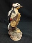 Picture 2 of 8