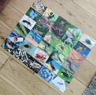 Bild 5 von 17