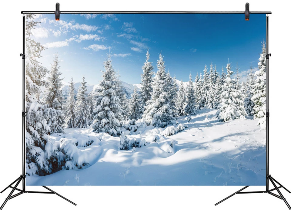 Fondo de vinilo de 10x8 pies de invierno bosque nevado naturaleza paisaje foto fondo Foto 2 de 4