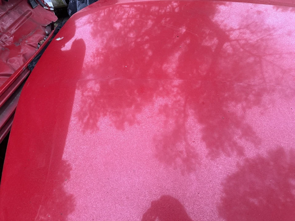 05-09 Ford Mustang rojo brillante capó delantero con revestimiento de capó OEM Foto 2 de 4