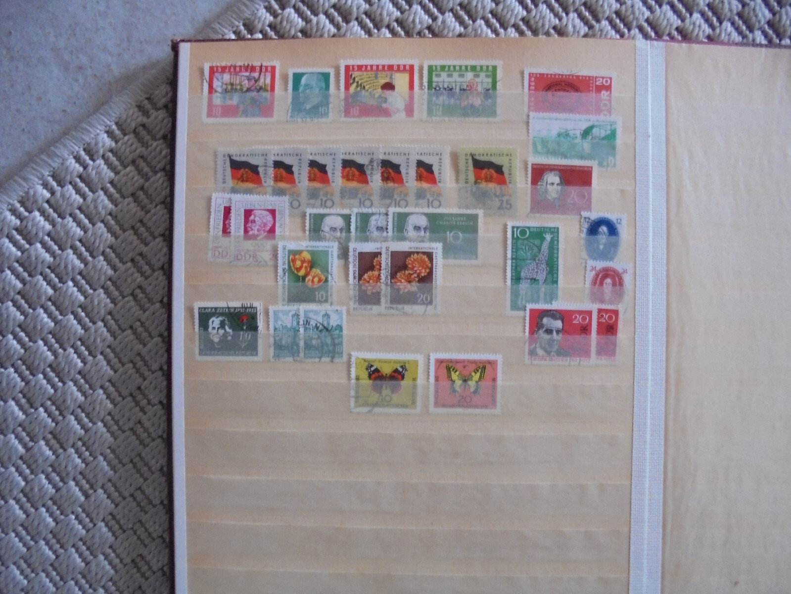 Bild 10 von 12