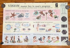 Vintage 1956 Better Vision Institute Doctors Office School Eye Chart Litho 60x40