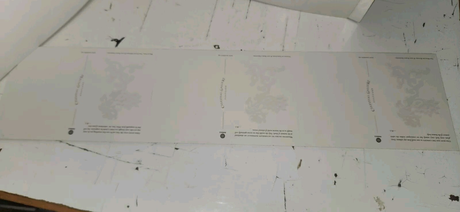Picture 5 of 7