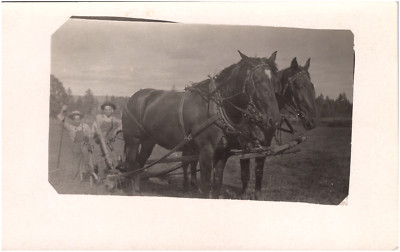 Farmer Boys Posing with Horses and Plow in Farm Field 1910s RPPC Postcard Photo
