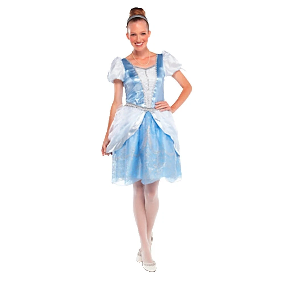 Disney Princess Dress Costumes for Women
