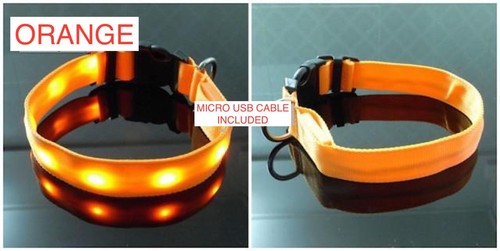 COLLAR DE BRILLO LED RECARGABLE Iluminado Perro Gato Mascota Cinturón de Seguridad Arnés MICRO USB - Imagen 5 de 14