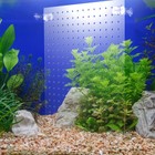  Fish Tank Divider Aquarium Dividers Isolation Plate Breeding Case