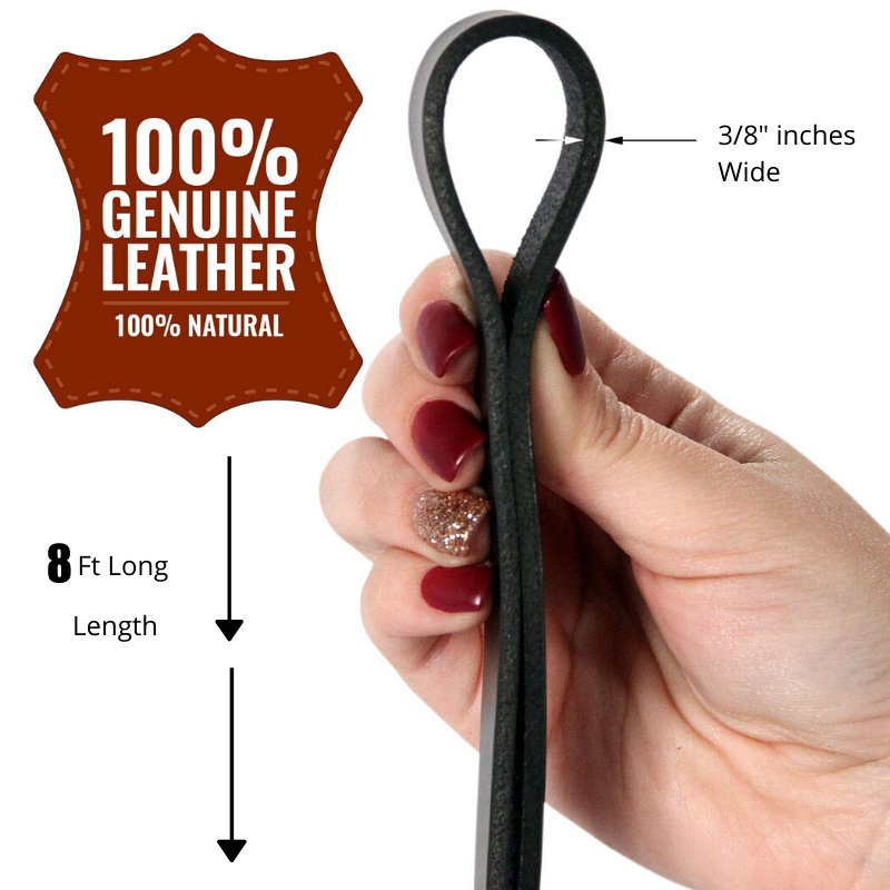 8 FT Leather Dog Leash Heavy Duty Stainless Steel For Training Dogs 8-ft-leather-dog-leash-heavy-duty-stainless-steel-for-training-dogs