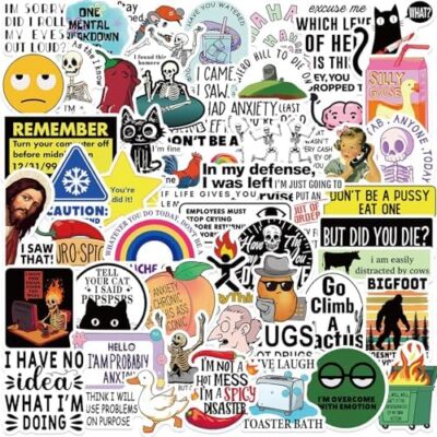 50PCS Funny Stickers for Adults Snarky Meme Prank Meme Dirty Hilarious Sticker P