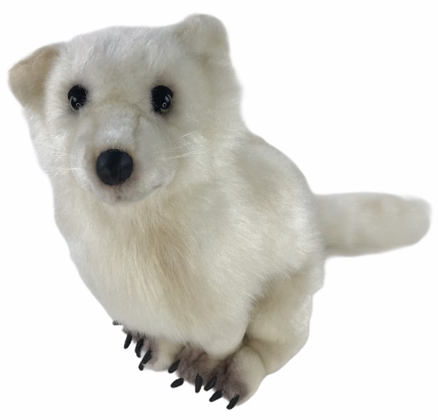 arctic fox plush