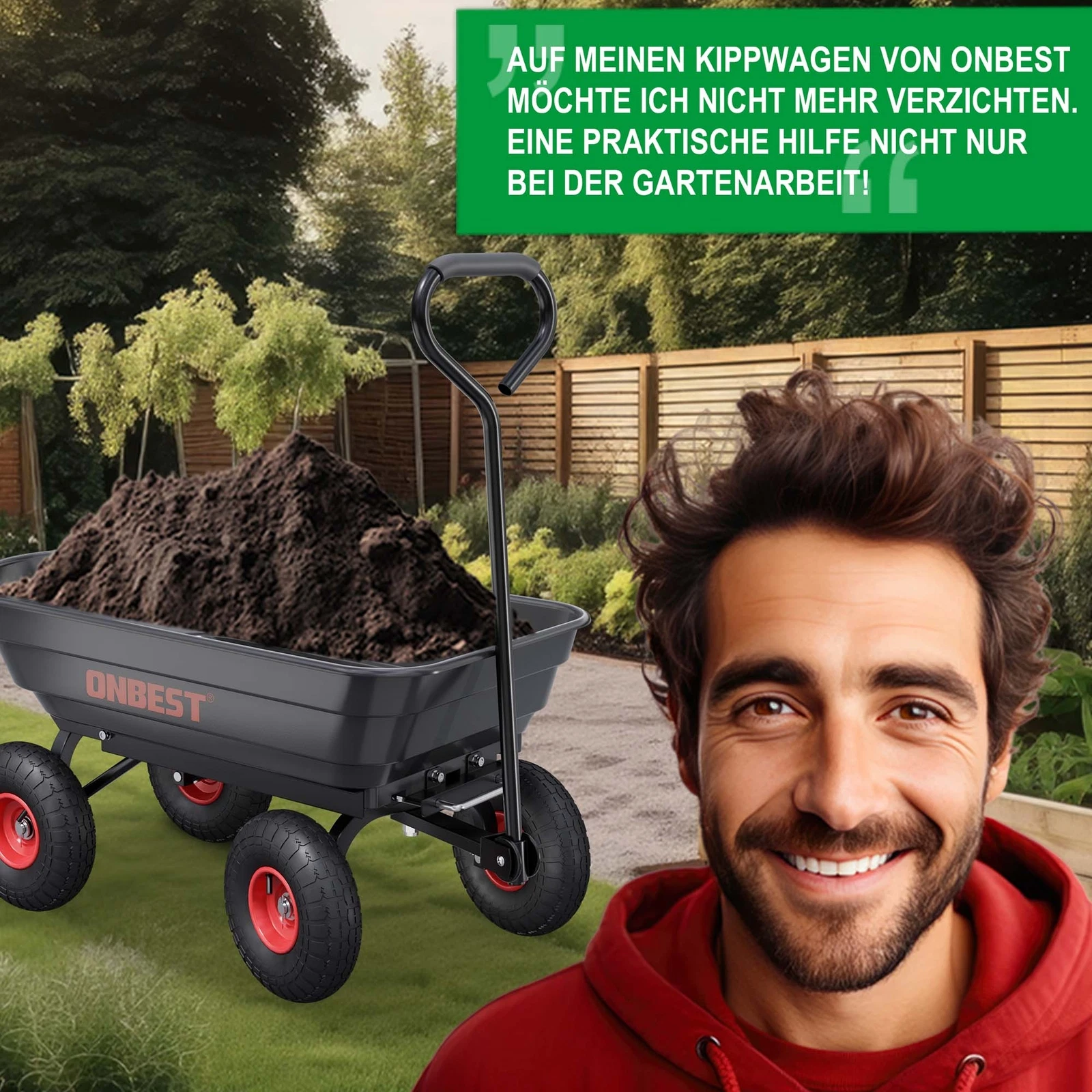 Bild 11 von 12