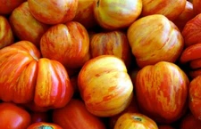 Tomato Seeds:  Old German Tomato Seeds  Fresh Seed