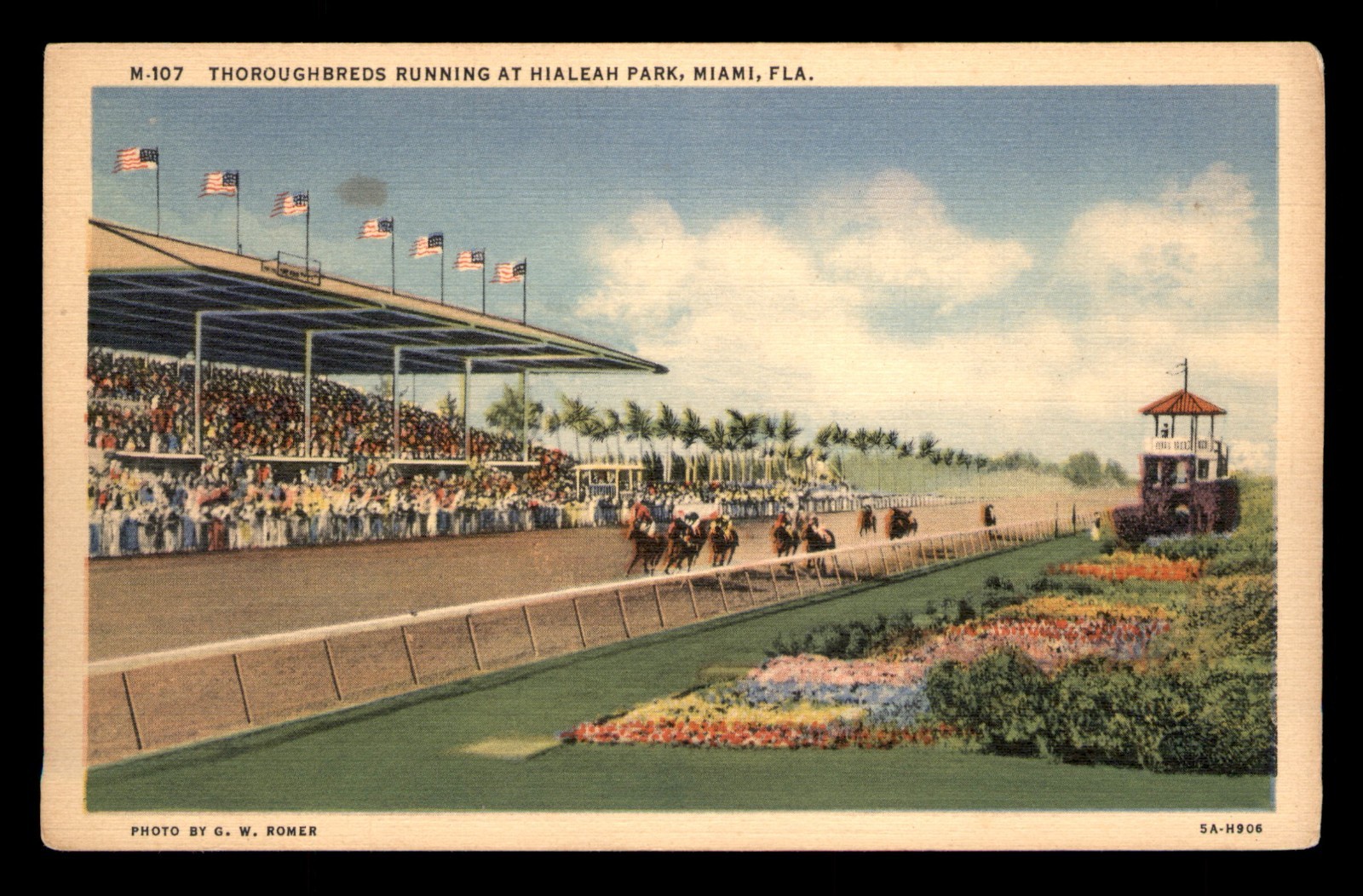 Thoroughbreds Running At Hialeah Park Miami Florida FL Racing Unp Postcard Linen