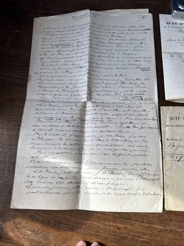 Document 19eme Frédéric Kursner Héraut De Genève Généalogie Passeport Suisse - Foto 19 di 23