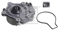 Febi Bilstein 102277 Wasserpumpe, MotorküHlung FüR Lexus,Toyota
